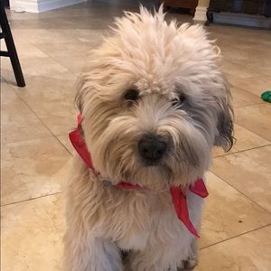 Meet your Posher, Dnaielle